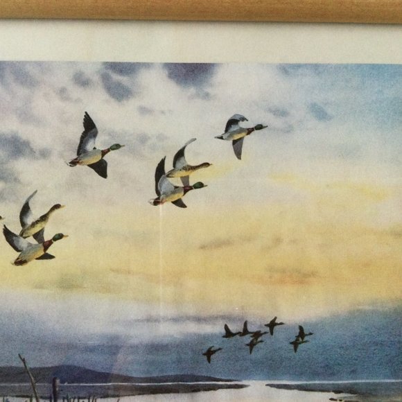 Small art print pencil signed titled framed T. Eaton Co Canada goose flying - Picture 5 of 7